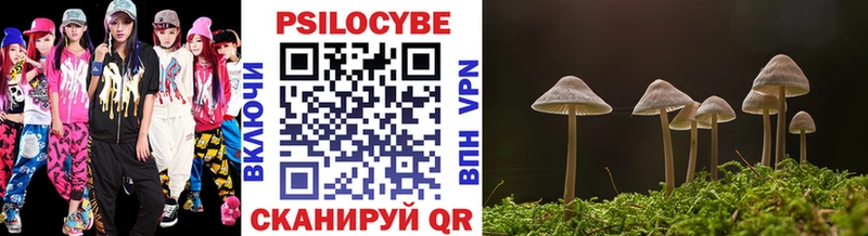 купить наркоту  Карталы  Галлюциногенные грибы Cubensis 